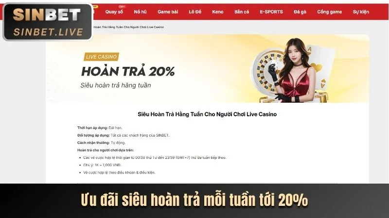 Giải Đấu Thể Thao vnq8 app